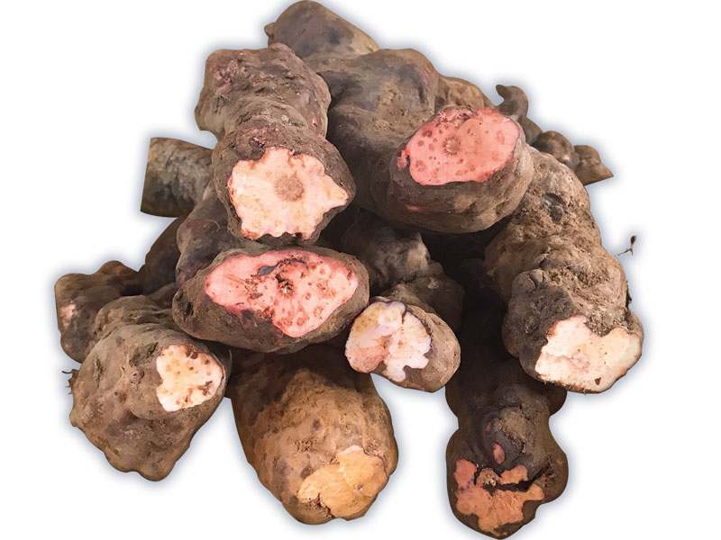 kakun khúc khắc TRIMICO